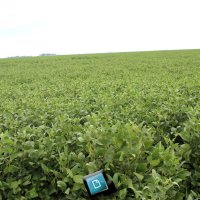 Dia de Campo 2023 Parte 2