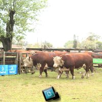 SINDICATO RURAL 2020