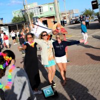 Ano 1 Sociedade Alternativa